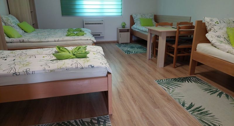 Apartman s koupelnou pro 5 os. s 1 ložnicí na přízemí - Gyepszél Panzió Tokaj, foto 1