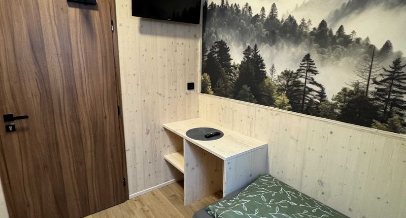 Pokoj se sprchou pro 1 os. (s možností přistýlky) - Penzion a Restaurace Pod Sjezdovkou Čenkovice, foto 1