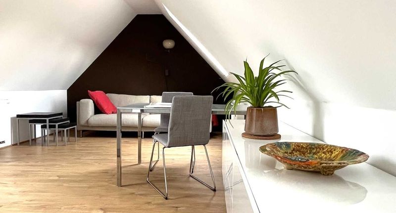 Apartman se sprchou s vlastní kuchyňkou pro 2 os. - DomaHomes Accomodations Hošťka, foto 1