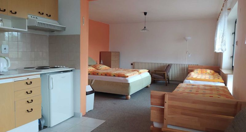 Apartman se sprchou s vlastní kuchyňkou pro 4 os. s 1 ložnicí (s možností přistýlky) - Apartmány NIVA Široká Niva, foto 1