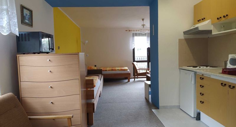 Apartman se sprchou s vlastní kuchyňkou pro 5 os. s 1 ložnicí (s možností přistýlky) - Apartmány NIVA Široká Niva, foto 1