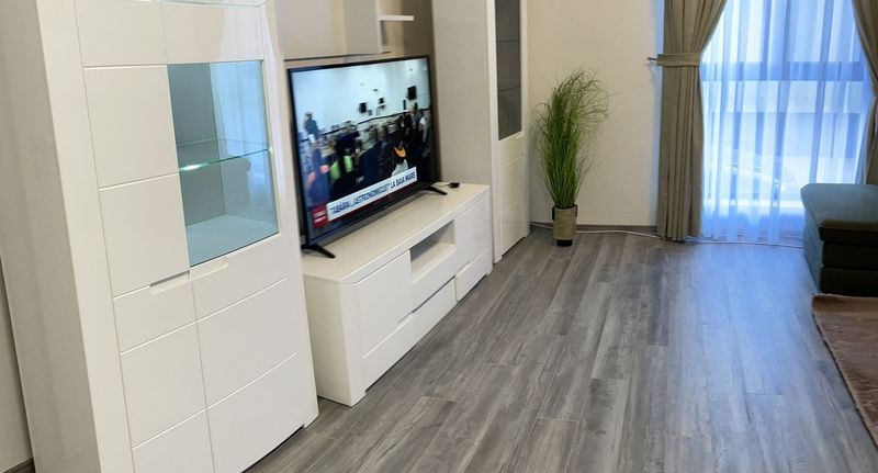 Family Apartman pro 4 os. s 1 ložnicí na přízemí - Apartament Andre Băile Felix, foto 1