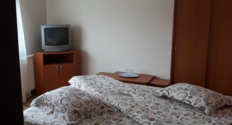 Pokoj s balkónem s manželskou postelí - Pensiunea Dor de Munte Arefu, foto 1