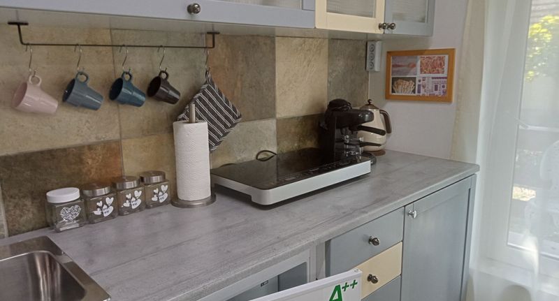 Apartman s manželskou postelí s 1 ložnicí přízemní (s možností přistýlky) - Cinege Apartman Felsőpáhok-Zalaköszvényes, foto 1