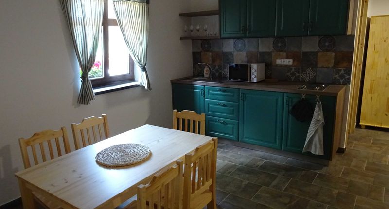 Pokoj se sprchou s vlastní kuchyňkou pro 6 os. (s možností přistýlky) - Penzion U Vlka Mladkov, foto 1