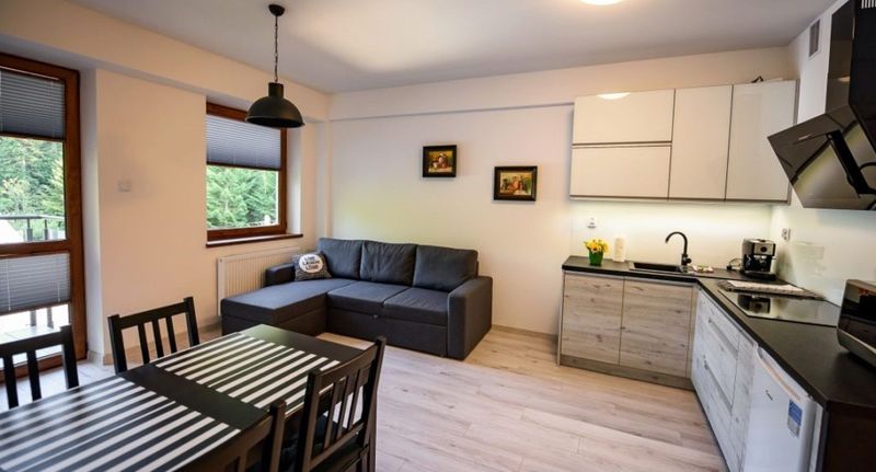 Apartman (jako celek) pro 4 os. - Apartamenty Sun & Snow Zielony Las Krynica-Zdrój, foto 12
