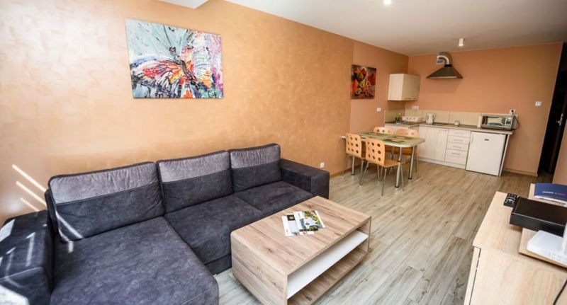 Apartman (jako celek) pro 4 os. - Apartamenty Sun & Snow Zielony Las Krynica-Zdrój, foto 28