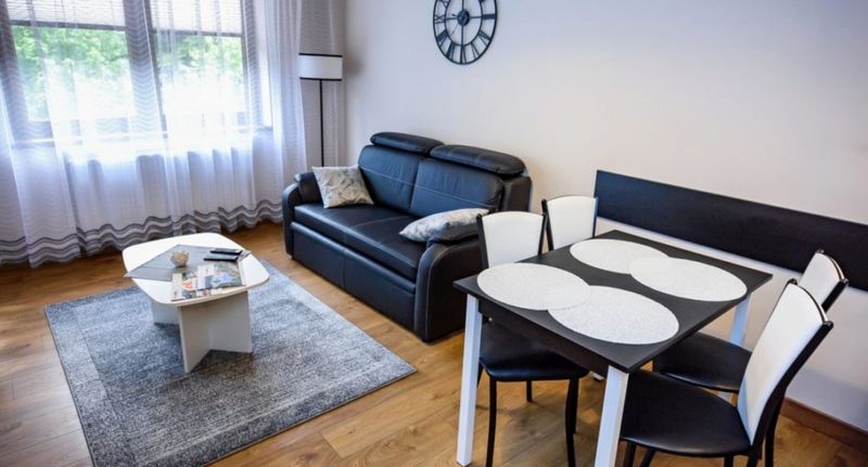 Apartman (jako celek) pro 4 os. - Apartamenty Sun & Snow Zielony Las Krynica-Zdrój, foto 40