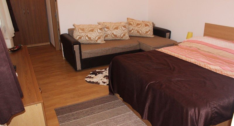 Apartman s koupelnou s manželskou postelí s 1 ložnicí - Pensiunea Martinel Timișu de Sus, foto 1