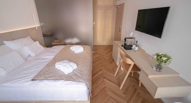 Pokoj se sprchou s terasou s manželskou postelí - Penzion Havran Litomyšl, foto 1