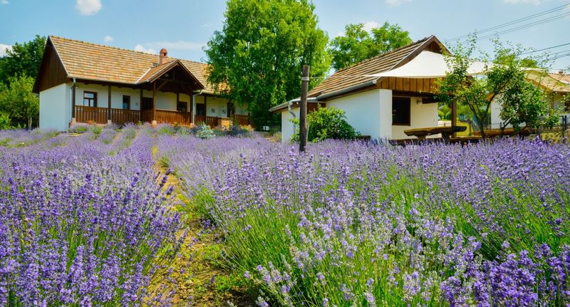 Apartman pro 4 os. se 2 ložnicemi - Alsópetényi Vendégházak Alsópetény, foto 1
