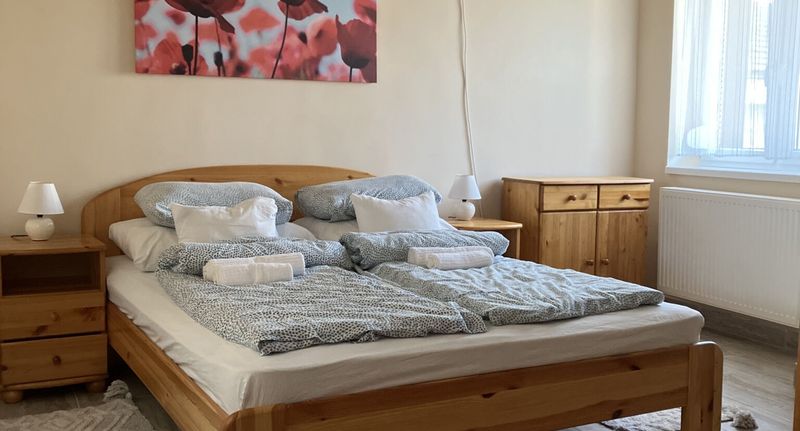 Chata (jako celek) s klimatizací pro 4 os. na přízemí - Bagolyvár Vendégház Abádszalók, foto 1