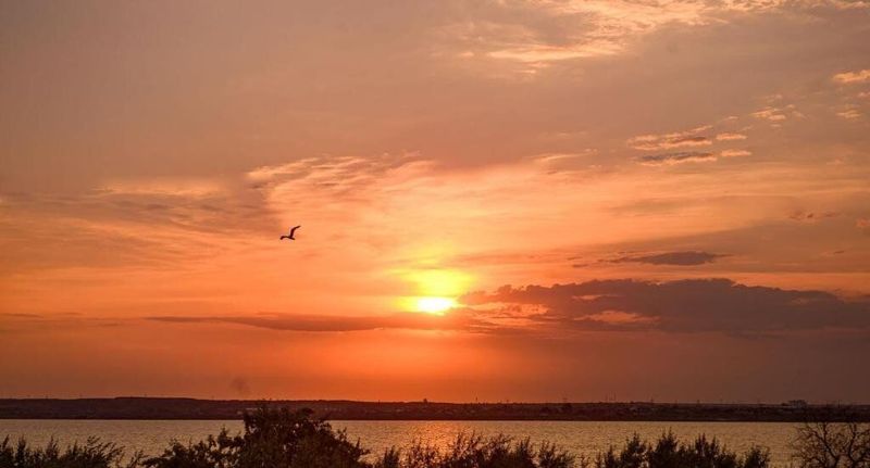 Apartman pro 4 os. se 2 ložnicemi - Tim Apartments Mamaia, foto 41
