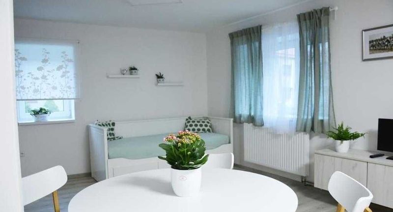 Apartman s manželskou postelí s 1 ložnicí (s možností přistýlky) - Apartmán Květinový Dům Hluk, foto 1