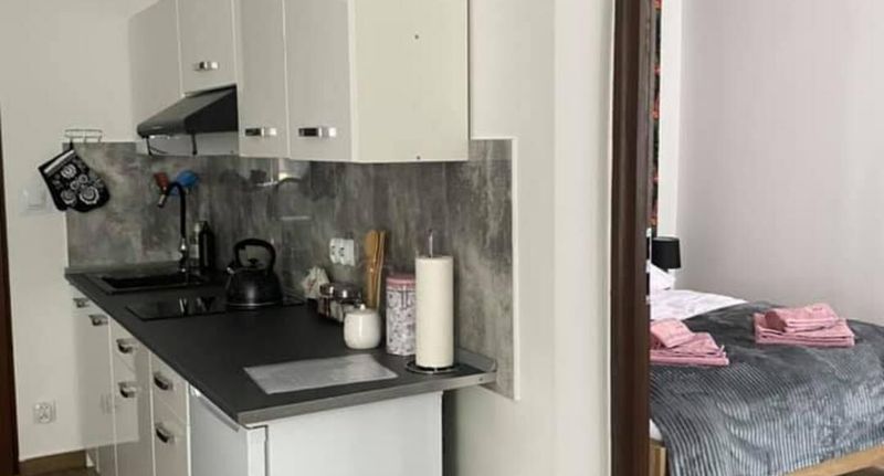 Apartman pro 5 os. se 2 ložnicemi - Apartamenty Otryt Ustrzyki Dolne, foto 1
