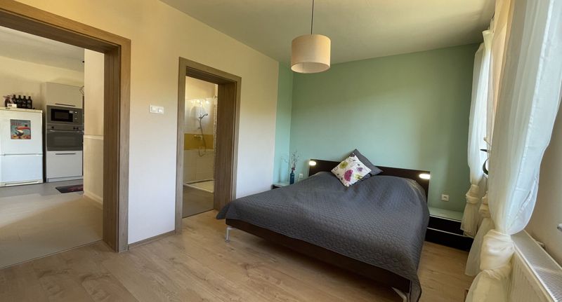 Apartman (jako celek) pro 10 os. s výhledem do zahrady na přízemí - Buongiorno Apartman Szálka, foto 1