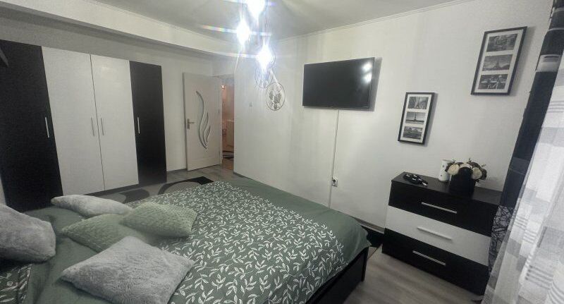 Family Apartman s terasou s manželskou postelí s 1 ložnicí - Apartament Maria Băile Govora, foto 1