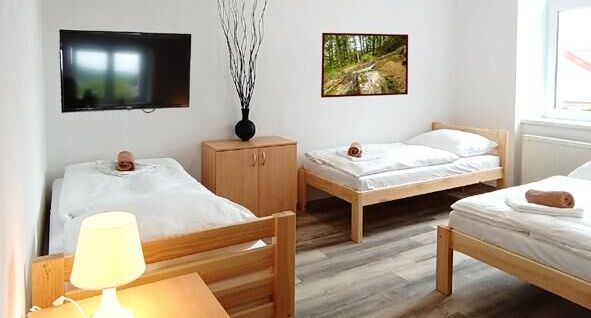 Pokoj bezbariérový pro 3 os. na přízemí - Penzion U Provazníka Zdíkov, foto 1
