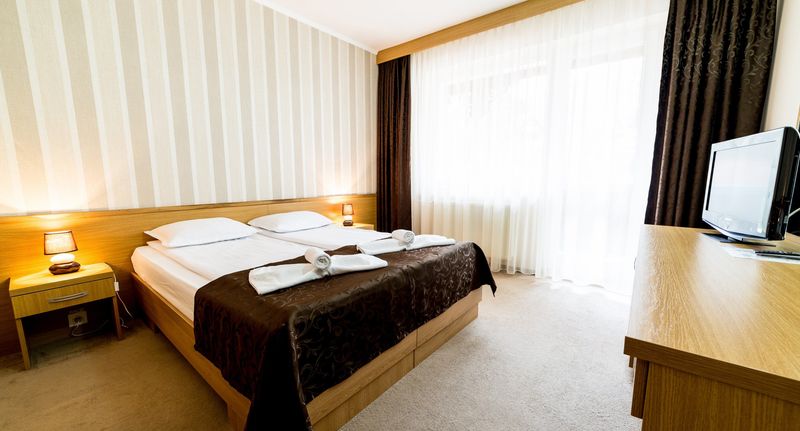 Standard Pokoj s balkónem pro 2 os. - Hotel Muresul Health Spa Sovata, foto 1