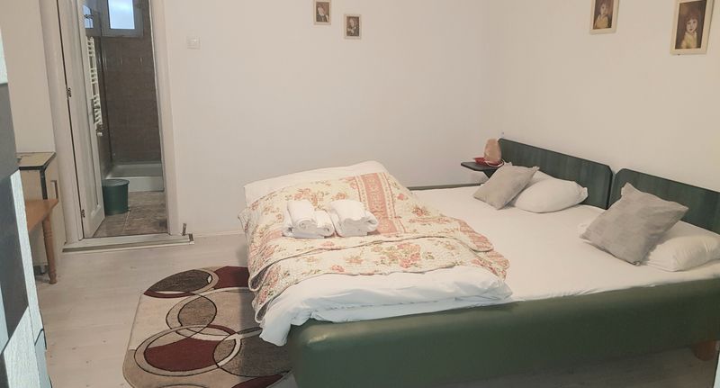 Suita propojené pro 4 os. se 2 ložnicemi - Casa Bebe Băile Olănești, foto 1
