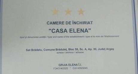 Apartman pro 4 os. s 1 ložnicí - Casa Elena Brădetu, foto 1
