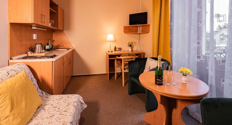 Pokoj se sprchou s vlastní kuchyňkou pro 1 os. (s možností přistýlky) - Penzion Věžička Lázně Bělohrad II, foto 1