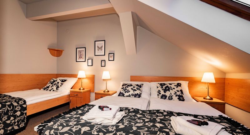 Apartman se sprchou s vlastní kuchyňkou pro 3 os. se 2 ložnicemi - Penzion Věžička Lázně Bělohrad II, foto 15