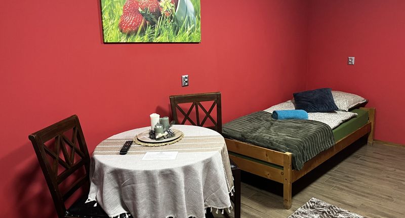 Pokoj s klimatizací s vlastní kuchyňkou pro 2 os. - Agroturystyka Mirabelkowe Zacisze, foto 1