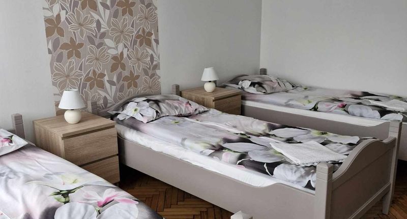 Rodinný Chata (jako celek) pro 16 os. celý Dům (s možností přistýlky) - Barackvirág Apartman Tiszakécske, foto 1