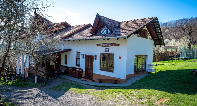 Art Víkendový dům (jako celek) pro 18 os. celý Dům - Casa de oaspeți Hagyó Petrilaca de Mureș, foto 1