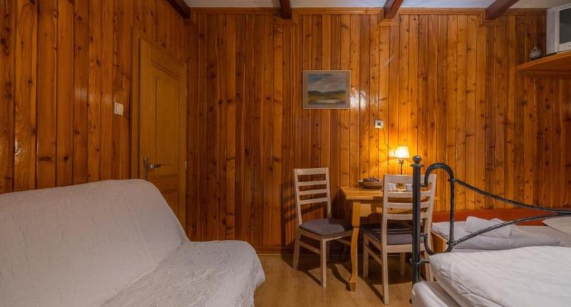 Pokoj se sprchou se zahradou pro 3 os. - Willa Wiktoria Podhalańska Zakopane, foto 1