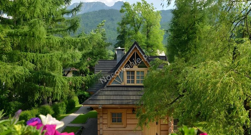 Roubenka (jako celek) pro 5 os. s výhledem na hory (s možností přistýlky) - Domki Na Krzeptówkach Zakopane, foto 9
