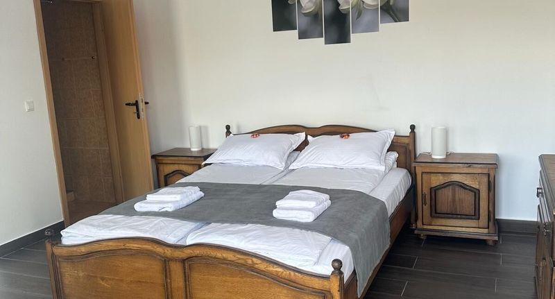 Standard Pokoj s manželskou postelí na přízemí - Hostel Adriana Touristik Arad, foto 1