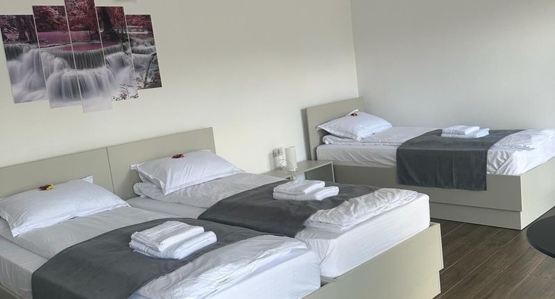 Standard Pokoj pro 3 os. na přízemí - Hostel Adriana Touristik Arad, foto 1