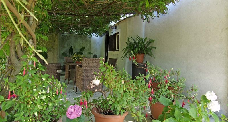 Apartman pro 4 os. se 2 ložnicemi - Apartment Renata Veli Losinj, foto 1