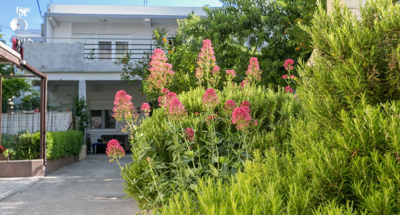 Apartman s klimatizací s terasou pro 4 os. s 1 ložnicí A-20605-b - Apartments By The Sea Kaštel Kambelovac, Kaštela - 20605 Kaštel Kambelovac, foto 1