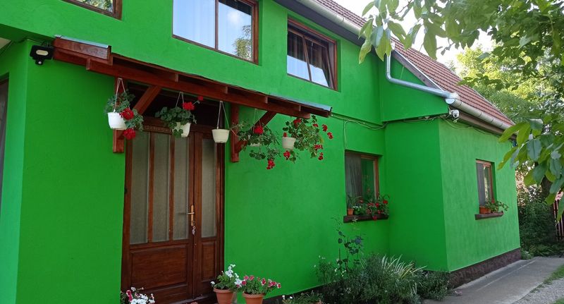 (jako celek) pro 1 os. (s možností přistýlky) - Casă de oaspeți Csergő Ildikó Lăzarea, foto 1