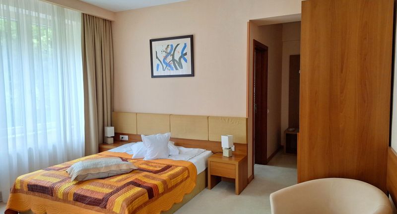 Pokoj s klimatizací pro 1 os. s výhledem na hory - Hotel TTS Spa&Wellness Covasna, foto 1