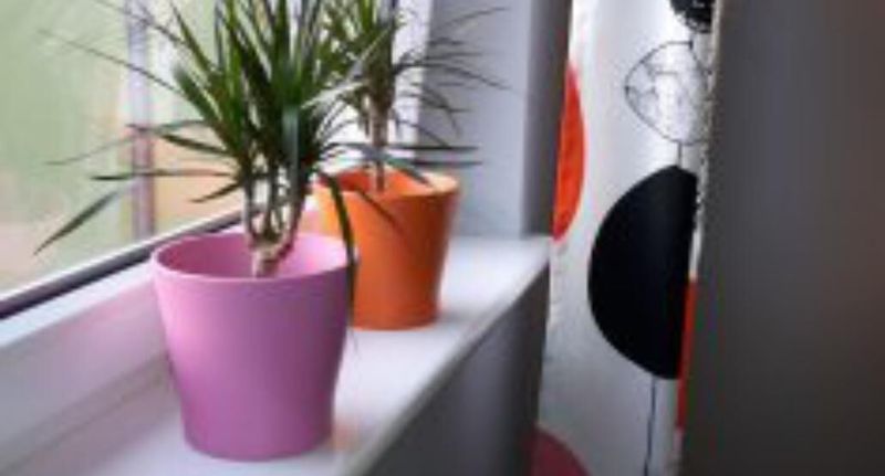 Apartman pro 4 os. s 1 ložnicí - Apartamenty Sedinum - Brama Portowa, foto 1