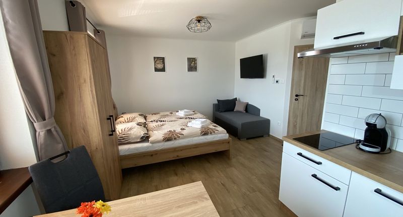 Studio Apartman se sprchou s manželskou postelí s 1 ložnicí (s možností přistýlky) - Apartmán Nezábudka Nesvady, foto 1