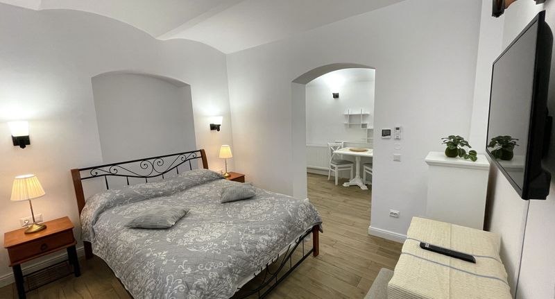 Komfort Pokoj s vlastní kuchyňkou s manželskou postelí - Princo Apartments Hunedoara, foto 1