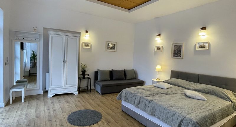 Komfort Design Pokoj pro 3 os. - Princo Apartments Hunedoara, foto 24