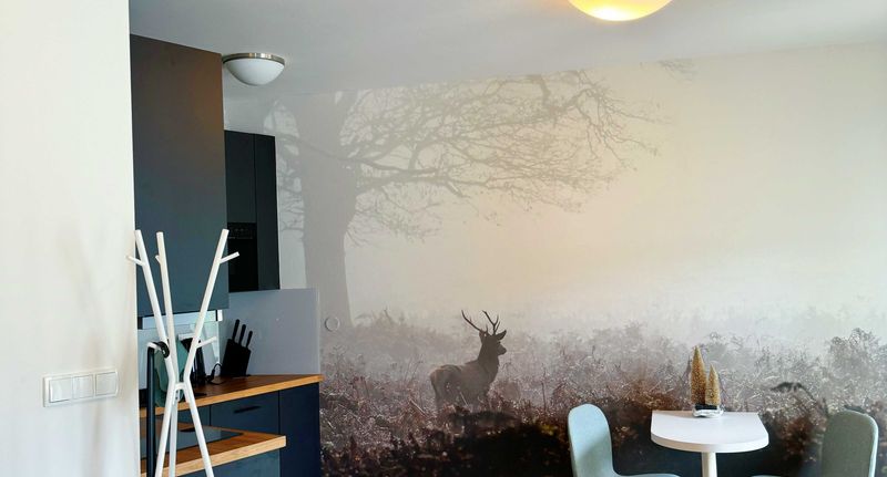 Apartman se sprchou s vlastní kuchyňkou pro 2 os. - KLÍNOVEC Real Estate s.r.o. Loučná pod Klínovcem, foto 1