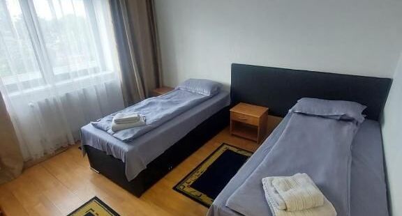 Pokoj pro 2 os. (s možností přistýlky) - Hotel Magnific Borș, foto 1