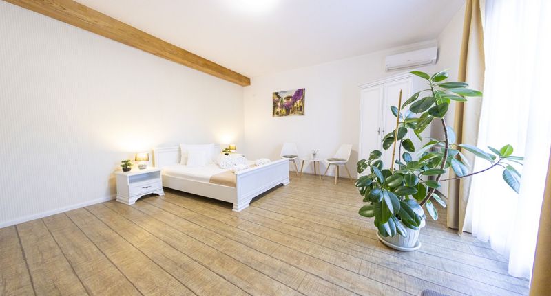 Superior King Pokoj s manželskou postelí - Pensiunea Casa cu Nuc Alba Iulia, foto 1