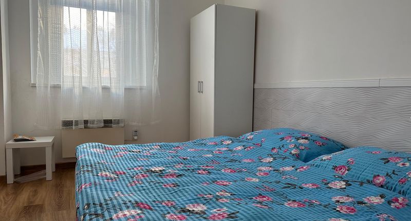 Apartman se sprchou s vlastní kuchyňkou s manželskou postelí s 1 ložnicí - Penzion Sokolov, foto 1
