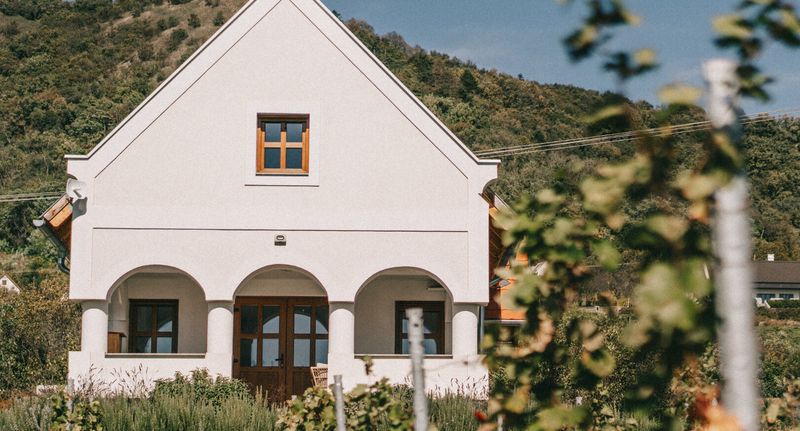 House (jako celek) pro 6 os. s výhledem na hory celý Dům (s možností přistýlky) - Szászi Birtok Hegymagas, foto 1
