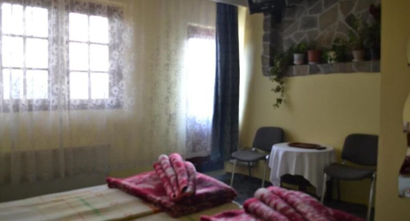 Pokoj pro 2 os. s výhledem na hory - Pensiunea Turistică Milcov-Vlădeț Predeal, foto 1
