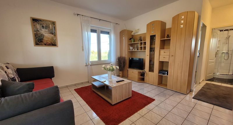 Apartman s klimatizací pro 4 os. se 2 ložnicemi s výhledem na les - Apartments Ljubica Malinska, foto 1