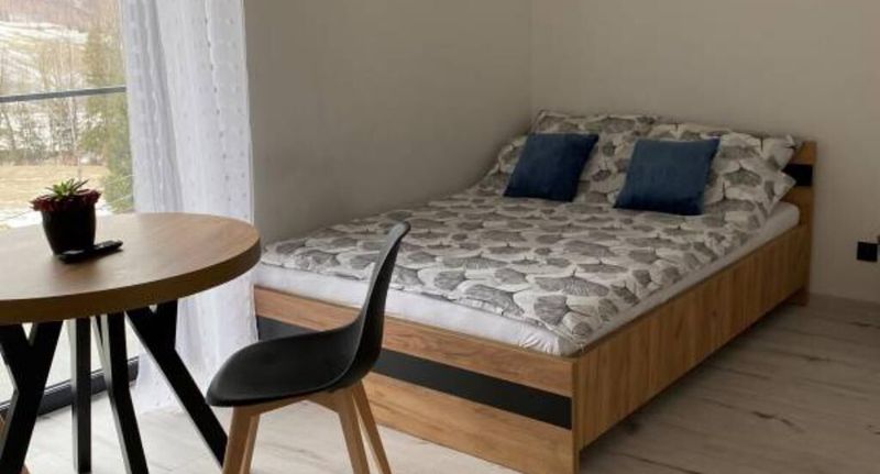 Pokoj s vlastní kuchyňkou s manželskou postelí - Abra Pokoje Gościnne Szczyrk, foto 16